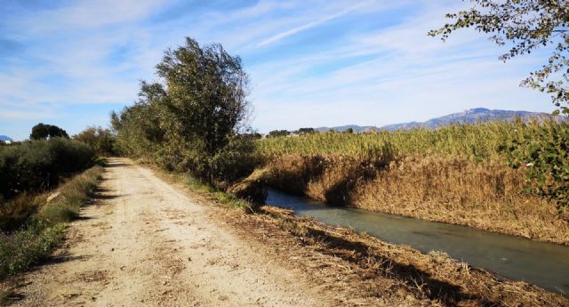El Ayuntamiento, la CHS, la asociación amigos del patrimonio de Lorquí y ANSE sientan las bases para la recuperación ambiental de la ribera del río